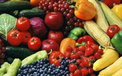 A Sampling of New Research Regarding Fracture Risk Among Vegetarians and Vegans